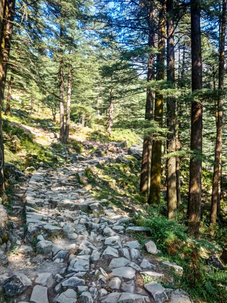 mcleod-ganj-mountain-view-4