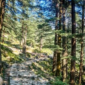 explore-valley-4